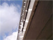 myamontage002007.jpg